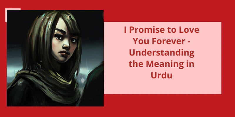 i-promise-to-love-you-forever-understanding-the-meaning-in-urdu