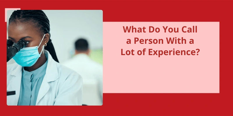 what-do-you-call-a-person-with-a-lot-of-experience